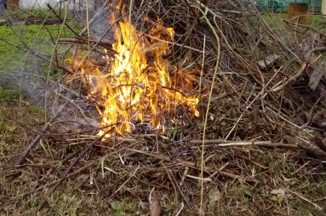 Жительницу Ульяновска, случайно спалившую дом соседей, ограничили в свободе