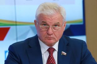 Владимир Плотников.