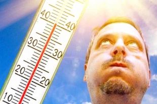 Влияние жары: как сохранить хорошее самочувствие в летнюю пору