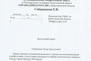 Депутатский запрос Евгения Сабашникова руководителю Нижегородского УФАС.