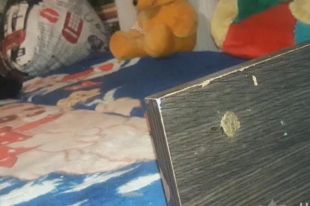 В Одесской области пьяная мать приковала цепью к дивану 11-летнюю дочь