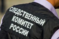 Следственный комитет по Новосибирской области начал проверку информации о хищении 70 тысяч рублей у мамы тяжелобольной девочки.