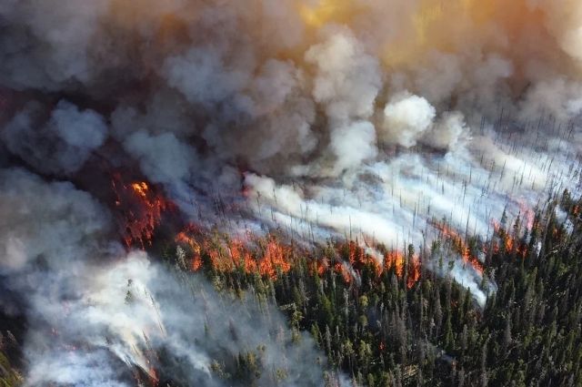 Четыре пожара потушили за сутки в лесах Иркутской области