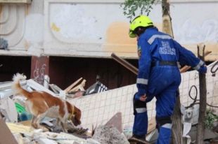 В Киеве под завалами разрушенного дома ищут еще двоих мужчин