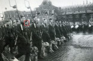 Николай Карпов на параде Победы 1945 года.