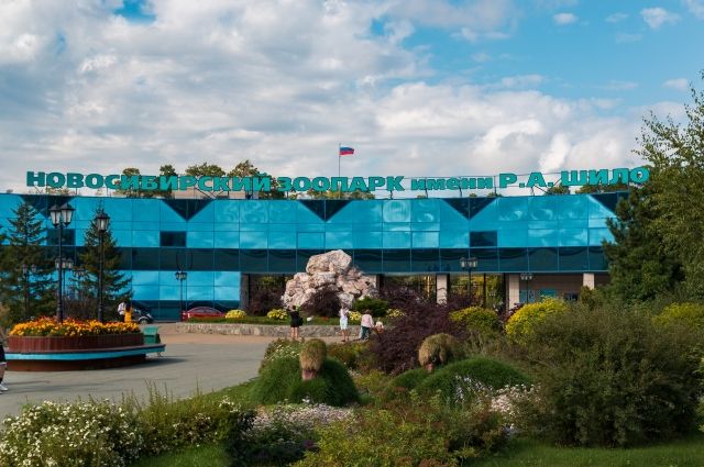 Уже завтра, 24 июня, Новосибирский зоопарк откроется для посетителей. 