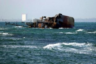 В Одессе море затянуло серебристой пленкой