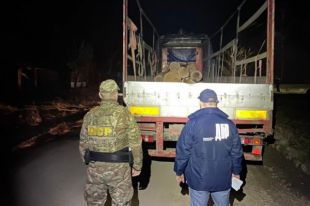 Во Львовской области чиновник лесхоза организовал хищение древесины