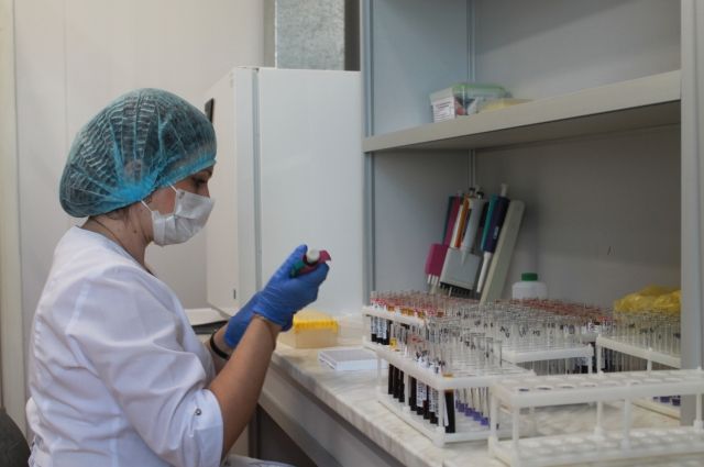 В Пензе начали исследовать кровь доноров на антитела к COVID-19