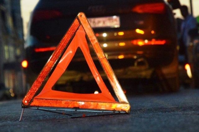 Под Рязанью автомобиль сбил лося: погиб пассажир