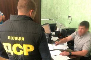 В Закарпатской области будут судить лесников за незаконную вырубку леса
