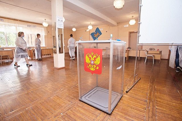 В Псковской области начали подсчет результатов голосования