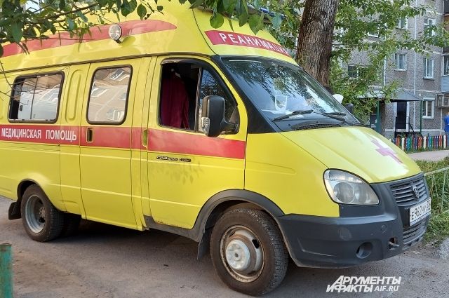 В Пермском крае два пассажира пострадали в автоаварии с двухлетней лосихой