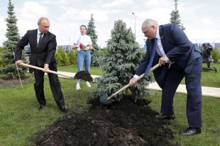 Президент РФ Владимир Путин и президент Белоруссии Александр Лукашенко во время посадки голубой ели на церемонии церемонии открытия Ржевского мемориала Советскому солдату.
