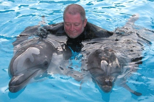 Учёный давно изучает дельфинов и знает, что после встречи с человеком они тоже начинают испытывать к людям определенный интерес.
