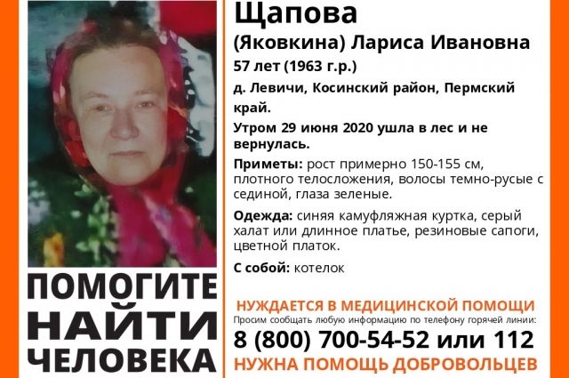 Ушла в лес и не вернулась: в Пермском крае ищут пропавшую женщину