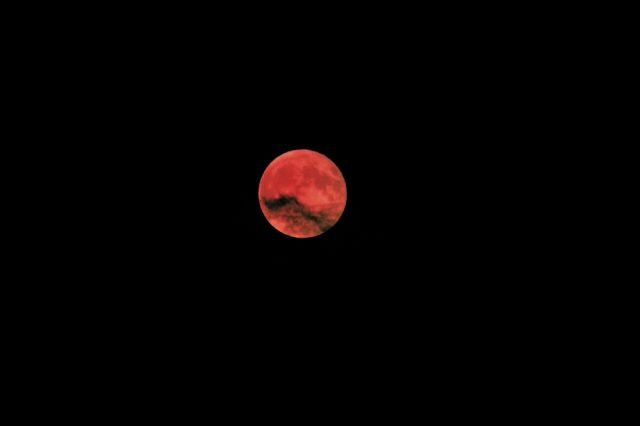 «Кровавая луна». 5 июля в Самарской области можно наблюдать лунное затмение