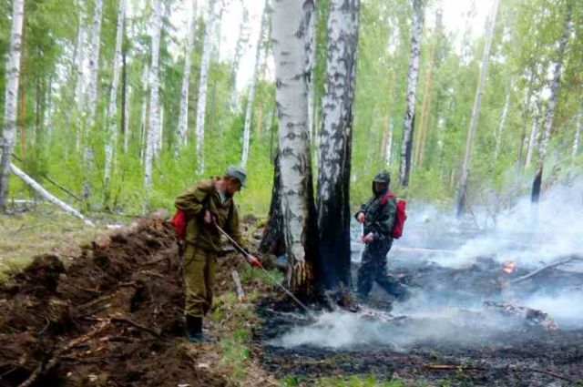 В лесах Иркутской области за сутки потушили 24 пожара