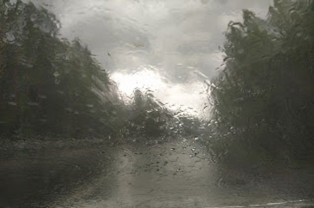 Дождь и грозы: погодные условия снова ухудшатся