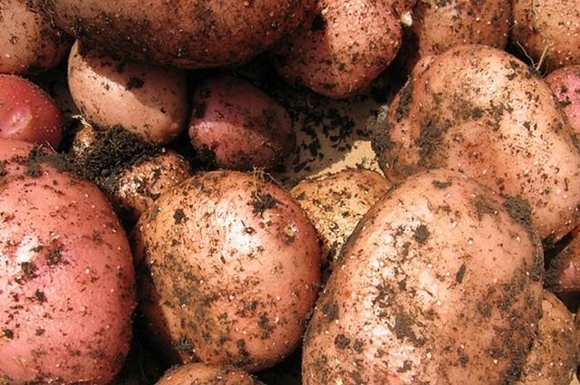 Картина дня в Хабкрае: цены на картофель и тонущие машины
