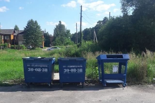 Раздельный сбор мусора ввели в районах Брянской области