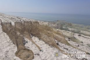 В Николаевской области браконьеры поймали креветок на 250 тысяч гривен
