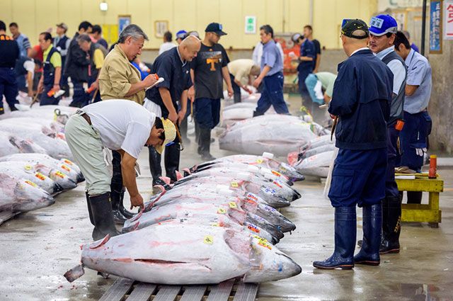 Рыбный аукцион в Японии.