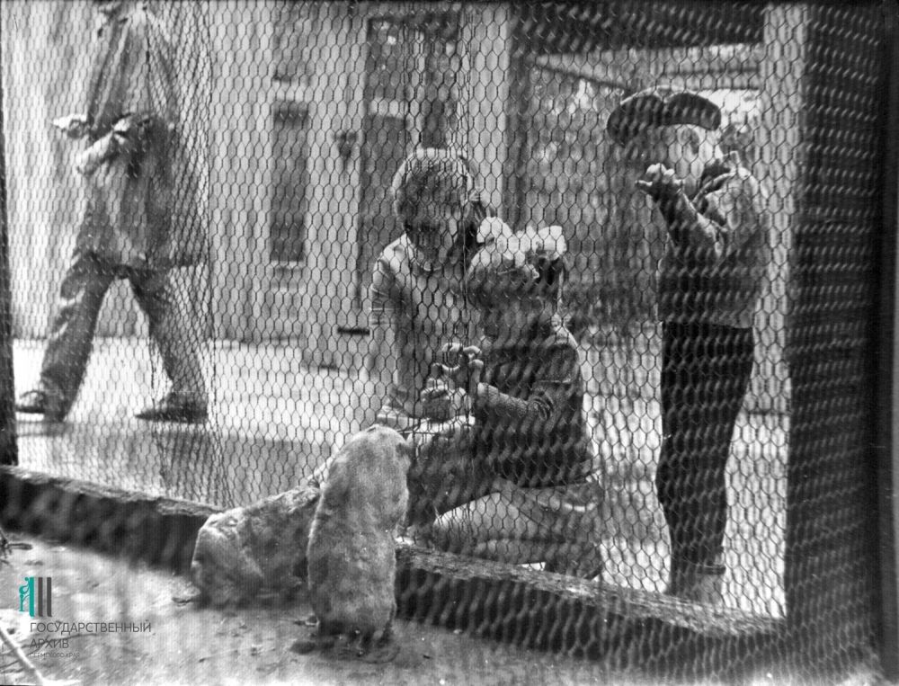 Семья у вольера, 1972 год.