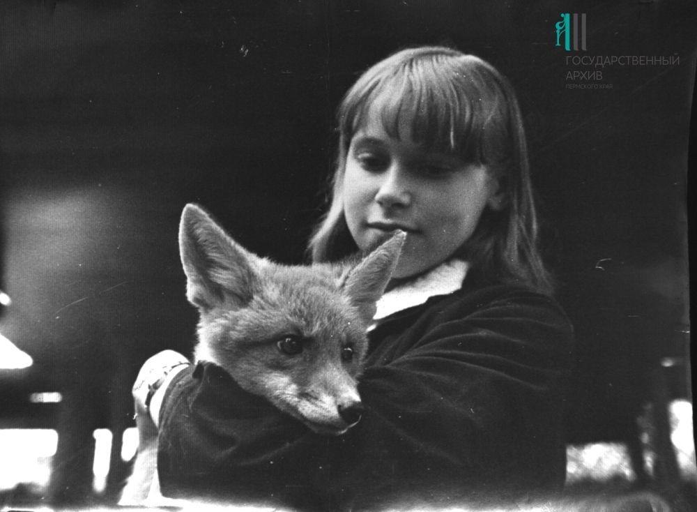 С лисёнком в руках, 1972 год.