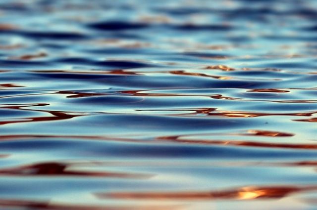 С начала купального сезона в Курской области погибли 11 человек