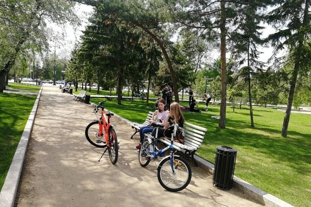 За 10 лет в Рязани построят полсотни велодорожек
