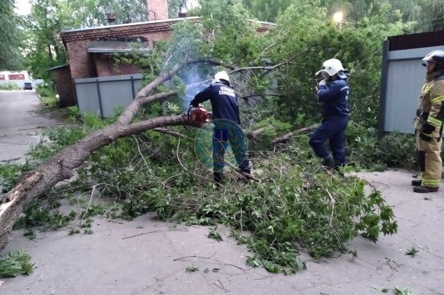Ночной ураган в Ульяновске валил деревья на провода и машины