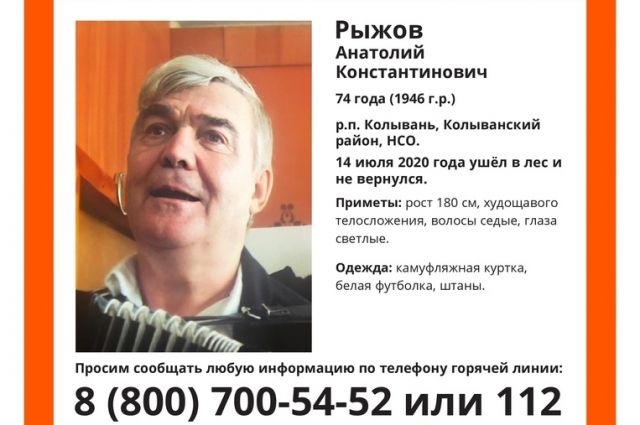 Пенсионер ушёл в лес в Новосибирской области и пропал