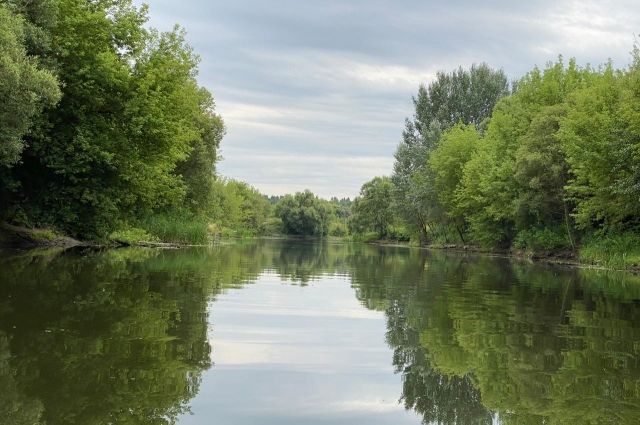 Расчистка русла реки Сейм продолжается в Курской области