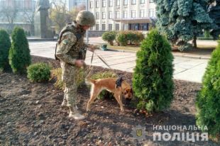 Правительство планирует ужесточить наказание за ложное минирование