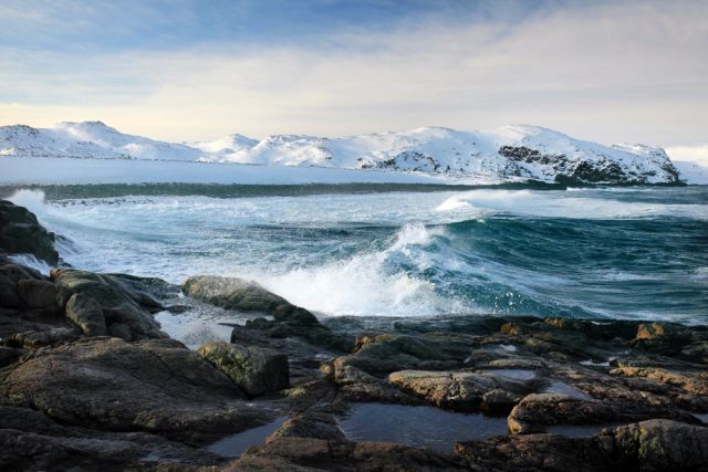Нужен ли Арктике холод? Её вода превращается в «суп из водорослей»