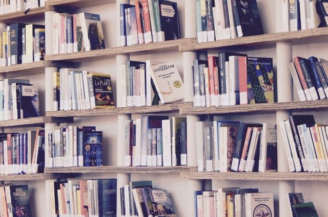 Библиотека нового поколения может появиться в Шумячах