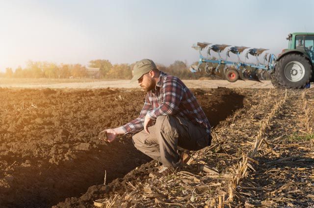 Три фермерских хозяйства стали победителями конкурса «Агростартап»