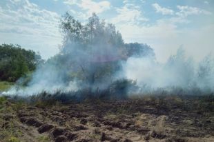 Площадь возгорания составляет около 300 гектаров.