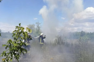 Поджег сухую траву и мусор: в Киеве мужчина устроил пожар