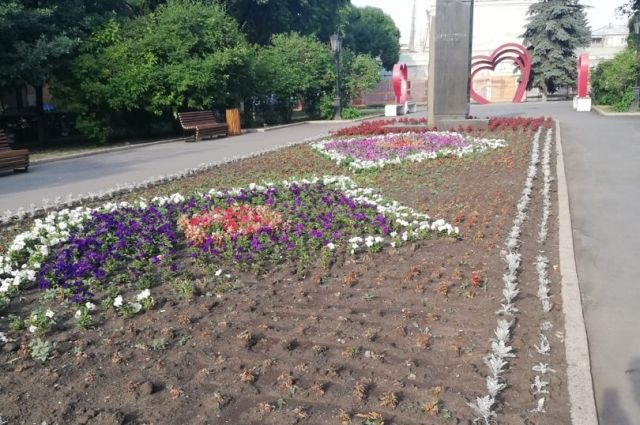 В Челябинске из-за несусветной жары погибают цветы и кустарники на улицах
