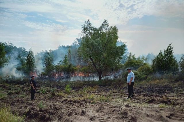 Из-за жары в Тюменской области растет количество лесных пожаров