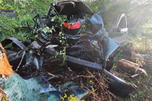 В результате ДТП в Пошехонском районе скончались водитель и пассажир