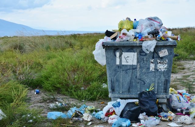 «Людям просто некуда выкидывать мусор»: победа над одной свалкой