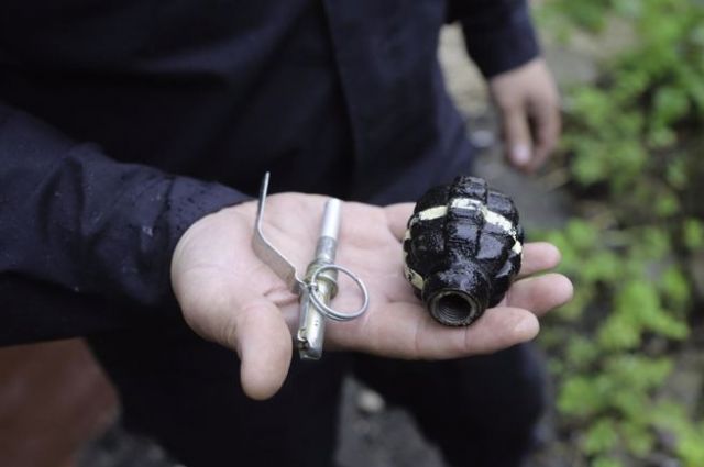 В лесу Ленобласти нашли 19 гранат