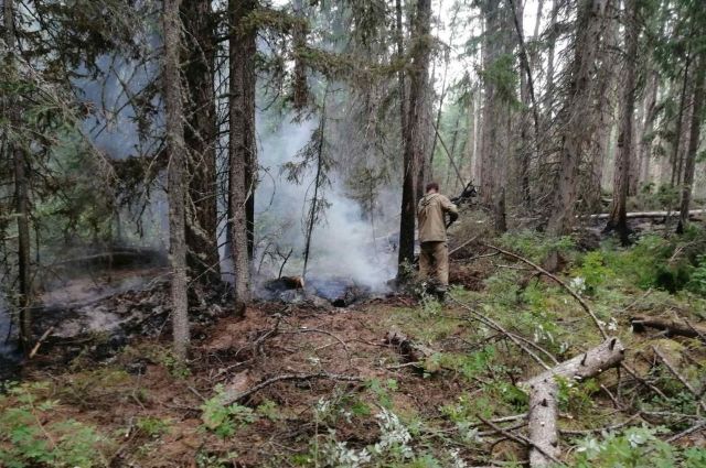 Segezha Group участвует в ликвидации лесных пожаров в Красноярском крае
