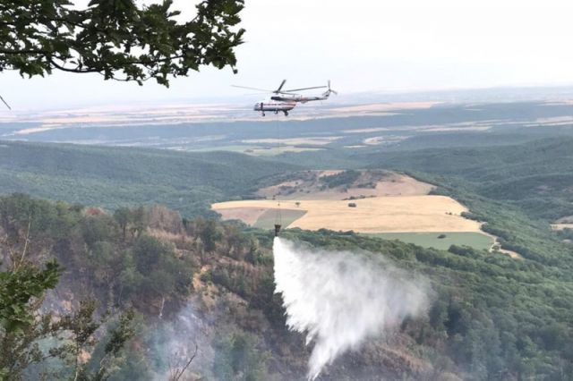 За сутки в РФ потушили 96 лесных пожаров