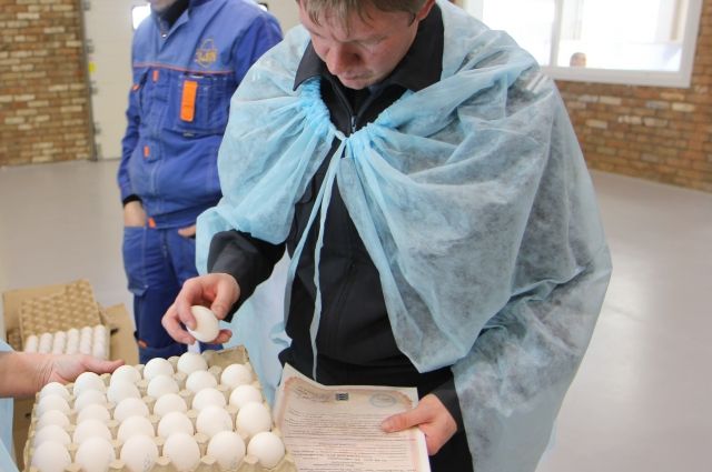 9,9 млн штук яйца куриного из Красноярска отправили в Монголию.