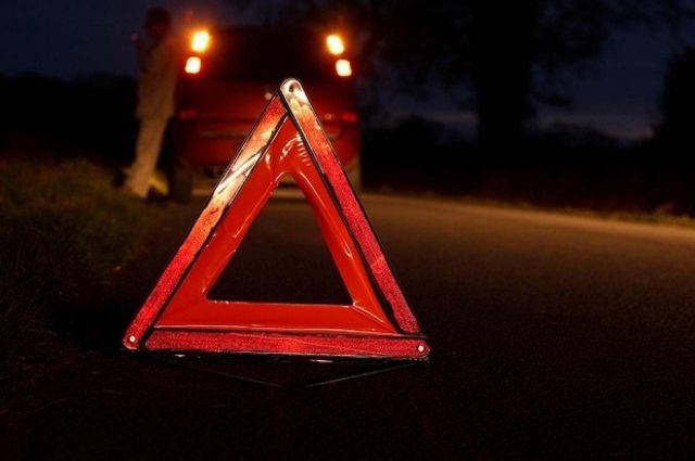 В Ленобласти женщина на иномарке врезалась в дерево: водитель погибла