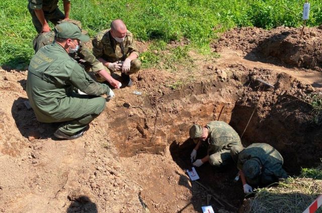Судмедэксперты приступили к изучению останков из концлагеря под Псковом